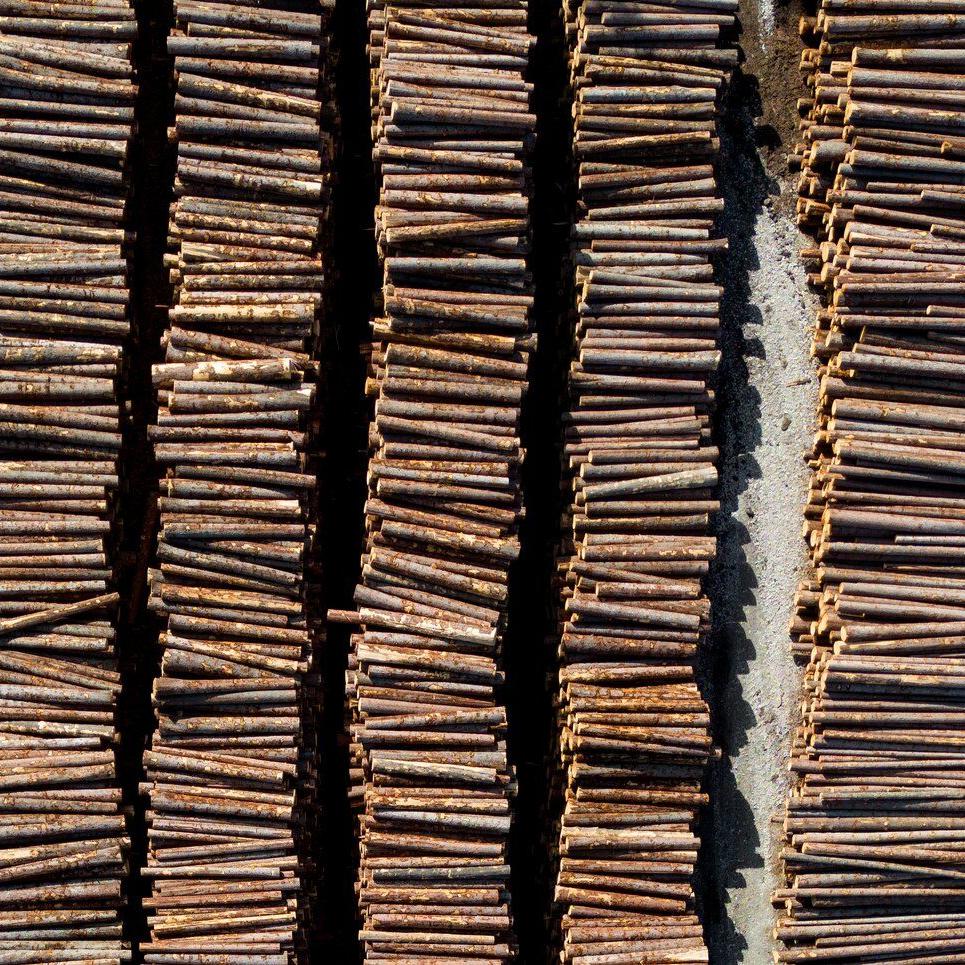 B.C. forestry sector in 'crisis,' triggering change in BC Timber Sales